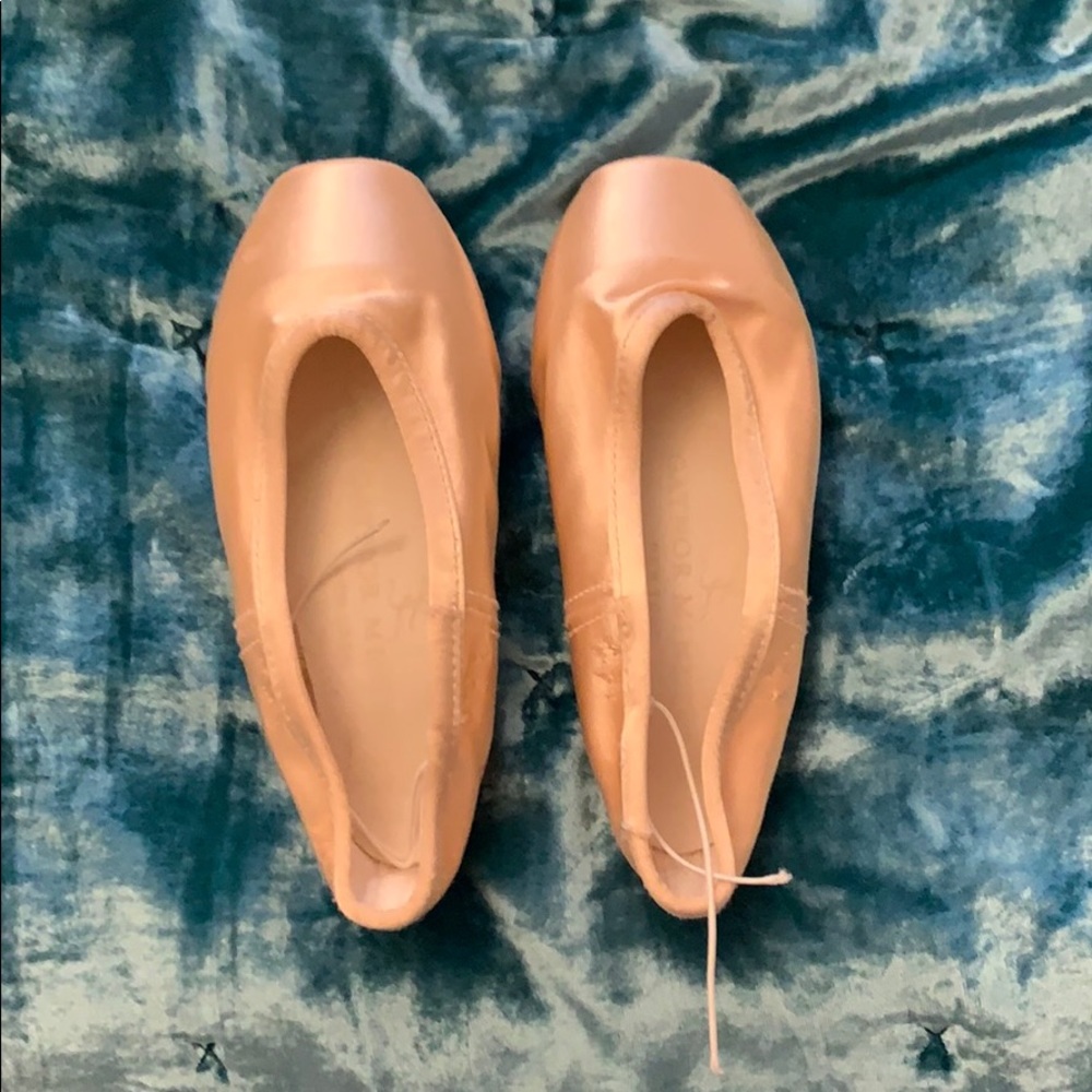 Gaynor Minden pointe shoes